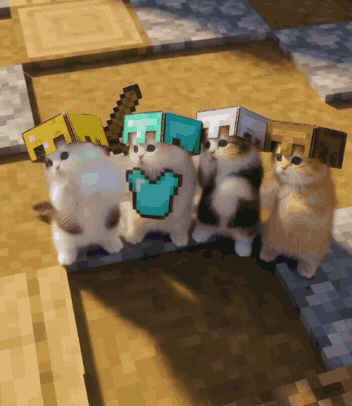 cats dance