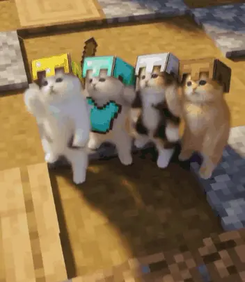 cats dance